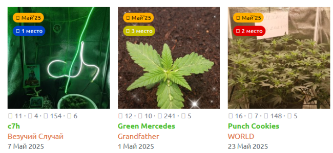 Снимок экрана 2025-06-01 134831.png