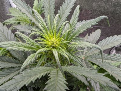 photo_2025-06-03_07-24-10 (2).jpg