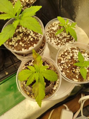 1000003880.jpg 1000003880.jpg