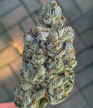 1749200244245.png 1749200244245.png