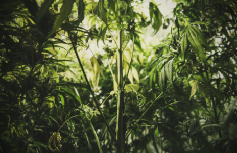 1749827836013.png 1749827836013.png