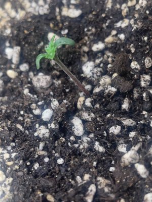 photo_2025-06-14_19-47-52.jpg photo_2025-06-14_19-47-52.jpg