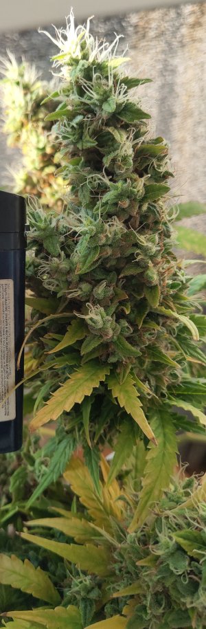 P50618-191356(1) (1).jpg