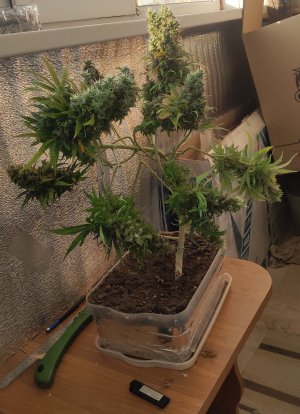 P50618-191656(1) (1).jpg