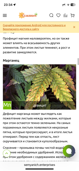 IMG_7849.png IMG_7849.png