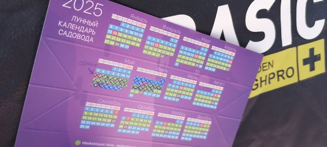 IMG_20250621_115207.jpg IMG_20250621_115207.jpg