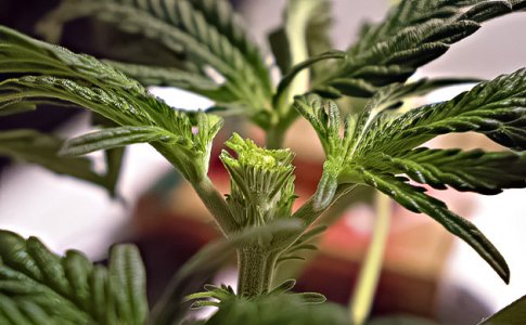 fim-obrezka__LGEwMBk9iB3CDxIj.jpg fim-obrezka__LGEwMBk9iB3CDxIj.jpg