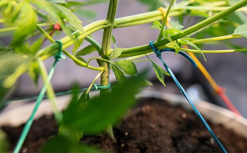 5-LST__FvQ3Hd07UlpnuvjU.jpg 5-LST__FvQ3Hd07UlpnuvjU.jpg