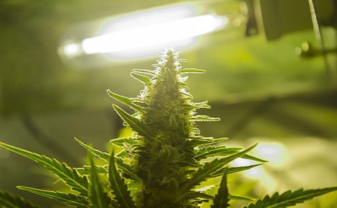 svetovoj-stress__B63YlDbOCt7XjvaK.jpg svetovoj-stress__B63YlDbOCt7XjvaK.jpg