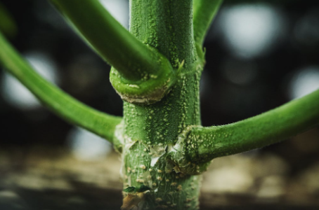 1751298718675.png 1751298718675.png