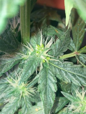 photo_2025-07-04_02-21-41 (2).jpg