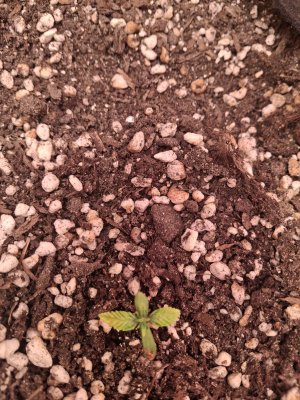 20250707_070933.jpg 20250707_070933.jpg