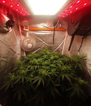 20250707_200759.jpg 20250707_200759.jpg