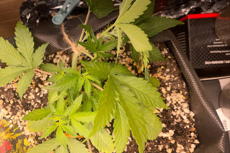 1751990811055.png 1751990811055.png