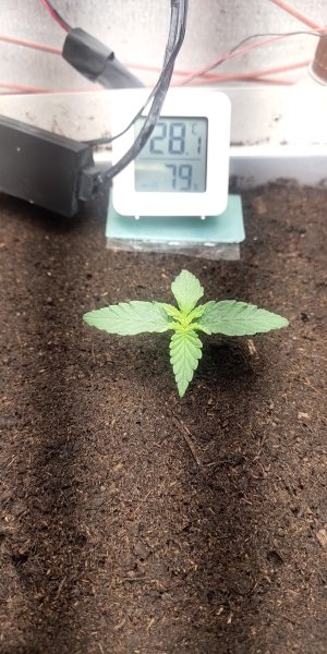 P50708-161842 (1).jpg