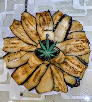 IMG_20250714_185124347.jpg IMG_20250714_185124347.jpg