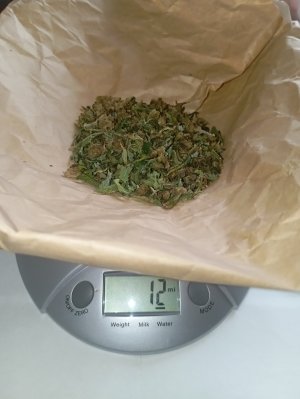 IMG_20250419_121559.jpg IMG_20250419_121559.jpg