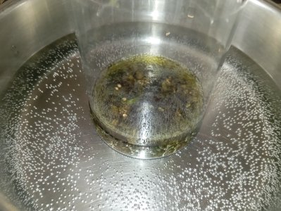 IMG_20250419_141619.jpg IMG_20250419_141619.jpg