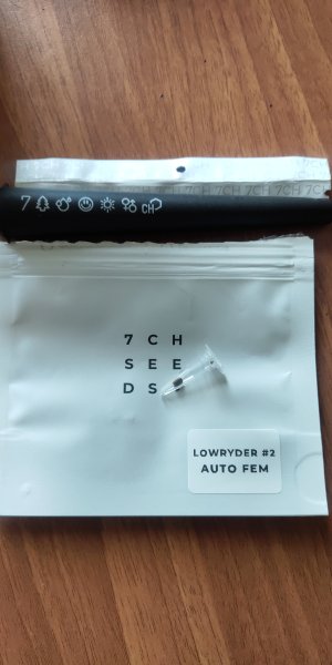 P50626-165950 (1).jpg