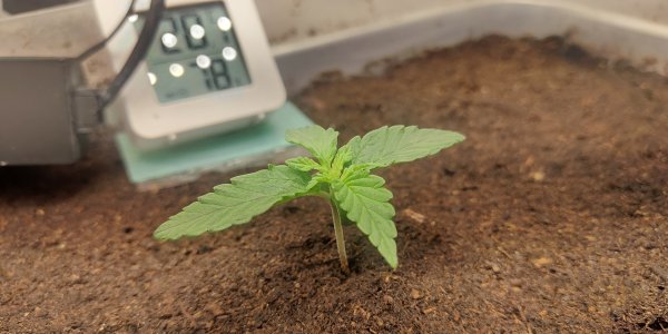 P50708-161902 (1).jpg