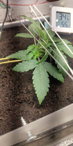 P50713-172445 (1).jpg