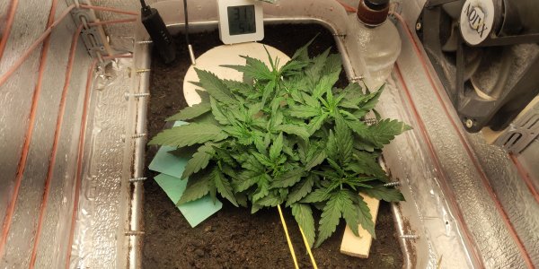 P50720-093213 (1).jpg