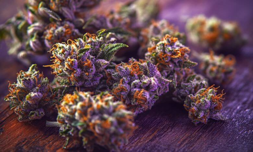 1753169304006.png 1753169304006.png