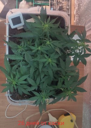 P50726-072425 (1)(1)(1).jpg