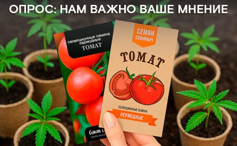 1754031686044.jpeg 1754031686044.jpeg