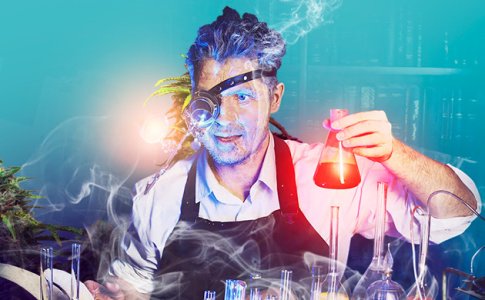 Lupa-na-golovu__6mzDxo4J8gqT7zp4.jpg Lupa-na-golovu__6mzDxo4J8gqT7zp4.jpg