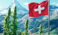 suisse.jpg suisse.jpg