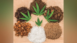 1754412179330.png 1754412179330.png