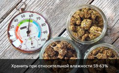 Hranit-pri-otnositelnoj-vlazhnosti-59-63__kqJiE5vEj8QqG0rr.jpg Hranit-pri-otnositelnoj-vlazhnosti-59-63__kqJiE5vEj8QqG0rr.jpg