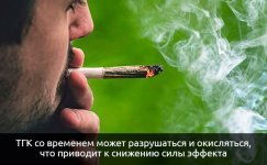 Snizhenie-sily-effekta__gcYxikepr2mNZ0Mj.jpg Snizhenie-sily-effekta__gcYxikepr2mNZ0Mj.jpg