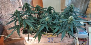 P50806-163036 (1)(1).jpg