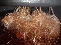 20250808_110043.jpg 20250808_110043.jpg