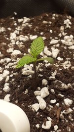 08.02_3.jpg 08.02_3.jpg