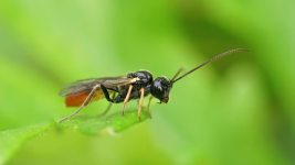 1754827707810.png 1754827707810.png