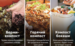 1755162562597.png 1755162562597.png