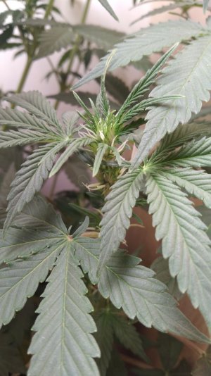 IMG_20220422_210233_056.jpg IMG_20220422_210233_056.jpg