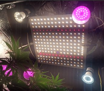 -3Yjq-RwJsk (1) (1).jpg -3Yjq-RwJsk (1) (1).jpg