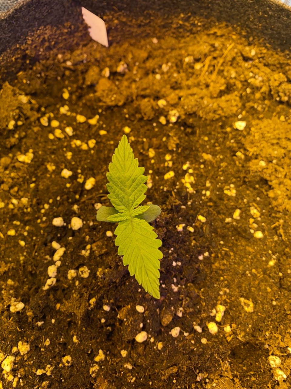 photo_2022-04-27_21-14-49.jpg photo_2022-04-27_21-14-49.jpg