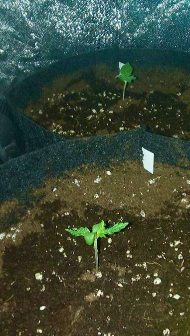 photo_2022-04-28_01-31-18.jpg photo_2022-04-28_01-31-18.jpg