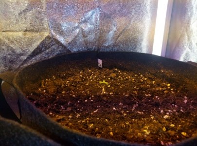 0AFF921C-C216-4ABF-A59E-4C4B57DF2B0A.jpeg 0AFF921C-C216-4ABF-A59E-4C4B57DF2B0A.jpeg