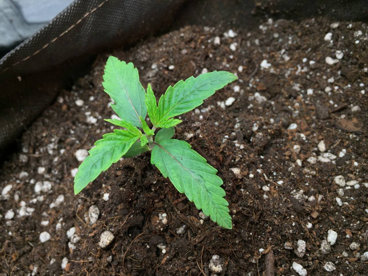 IMG_20220428_182458_453.jpg IMG_20220428_182458_453.jpg