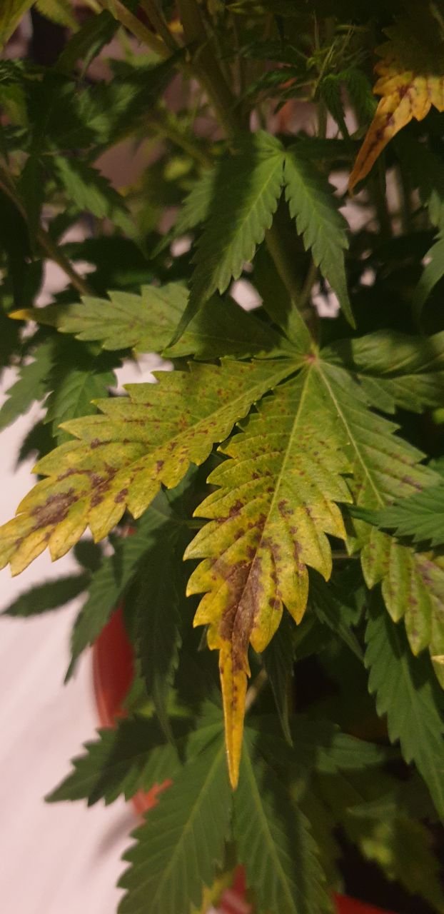 photo_2022-04-30 23.56.59.jpeg