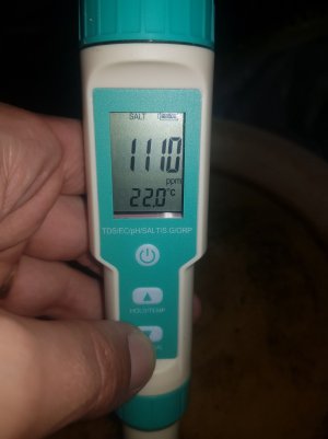 20220501_211320_optimized.jpg 20220501_211320_optimized.jpg