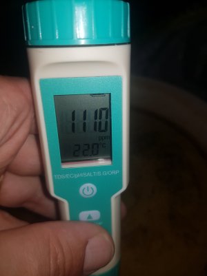 20220501_211311_optimized.jpg 20220501_211311_optimized.jpg