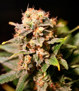 1651577711314.png 1651577711314.png