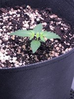 21.06.25 — копия.jpg